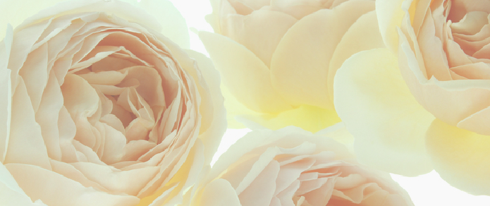 new_pixta_7579742_S 695mini.jpg